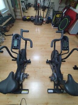 AirBike® inSPORTline Pro