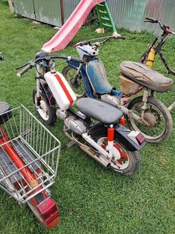 Jawa pionier babeta