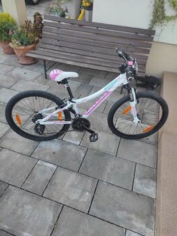 Kellys kiter 50