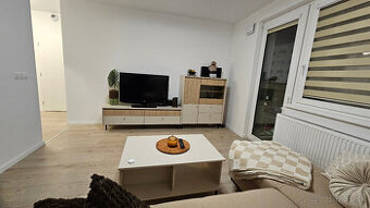 Prenajmem 2 izbový slnečný byt – Bratislava - Ovocné sady