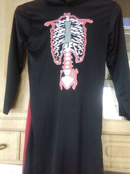 Karnevalový kostým