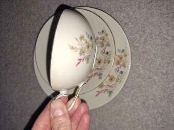 Vintage ranajkova sada
