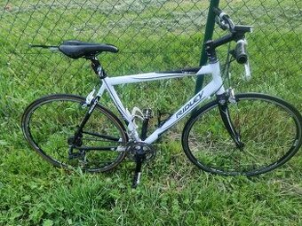 Ridley tempo