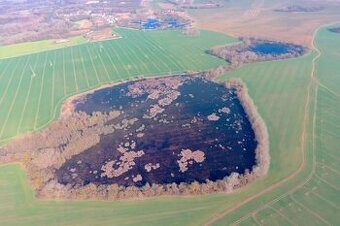 Ižkovce - 3.850 m2 ORNÁ PôDA a LESY v podiele 1/3 - 1