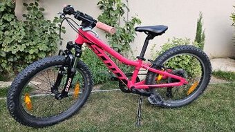 Scott Contessa (20)