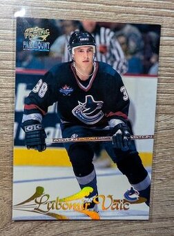 Lubomir Vaic - NHL karta