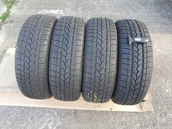 205/65R15 Taurus zimné