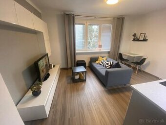 2 izb. byt v Starom meste prenajom