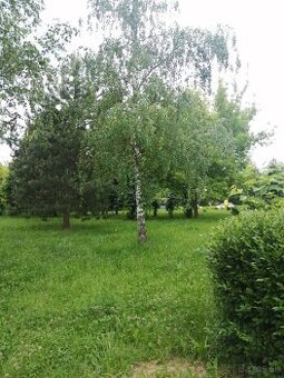 TOP PONUKA 3IZB PRI OC GALÉRIA