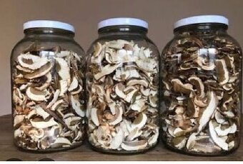 Sušené tohtoročné dubáky