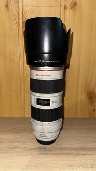 Canon EF 70-200mm f/2.8 IS L USM
