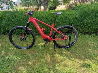 CORRATEC X VERT PRO TEAM - mullet