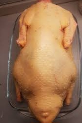 Vykrmene husokačky kačice