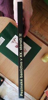 Pezinské baníctvo v XX. storočí od Lucie Šurinovej