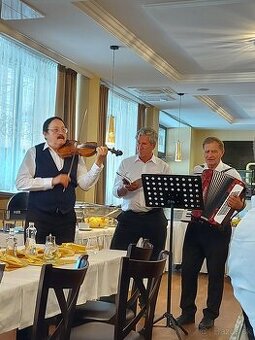 Huslista a harmonikár