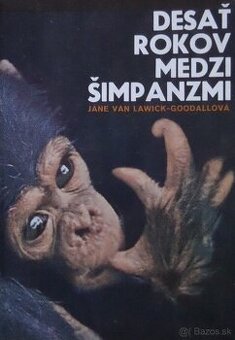 Desať rokov medzi šimpanzmi