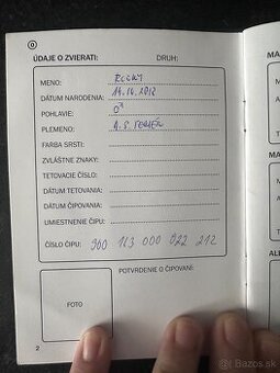 Americkí  stafordšírsky teriér