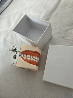 Model zubov na škrabanie