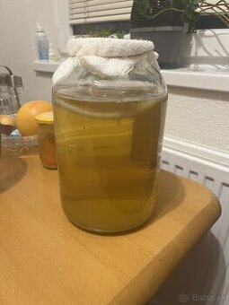 Kombucha