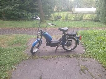 Babetta210