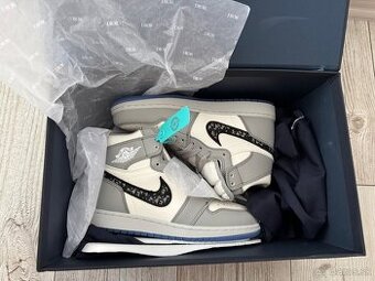 Air Jordan 1 High Dior x