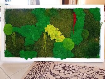 Machový obraz 90x50cm