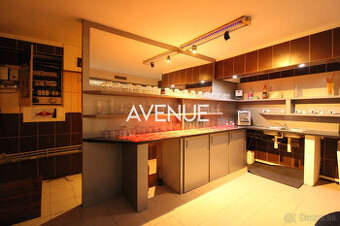 AVENUE I nebytový priestor v suteréne domu, Hálkova, BA III - 1