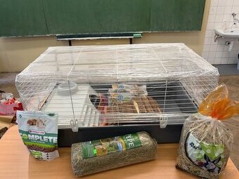 klietka pre zakrslého zajaca/morča