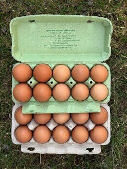 Domáce vajcia