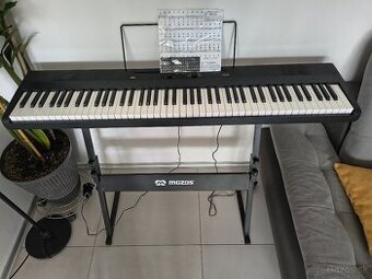 KORG Liano