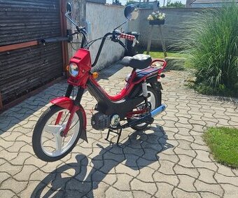 Manet Korado 216