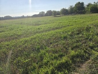 Na predaj rodinný dom s pozemkom 3571 m2 ( v cene ZP )