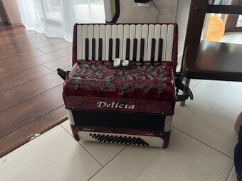 Akordeon Delicia Junior 24