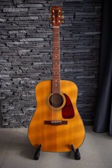 Fender DG22S NAT (Asian Ebony) akustická gitara