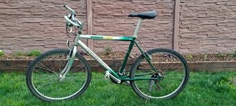 Pánsky bicykel