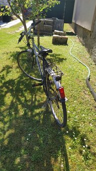 Pánsky bicykel Vertec TR 810 - 1