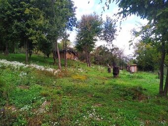 Pozemok, záhrada, - 1