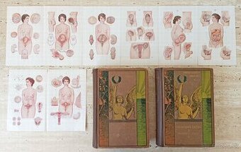 Staré lékařské knihy "Přírodní léčba a domácí lékař", 1923