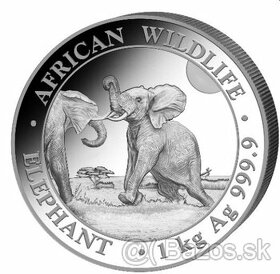 Strieborná minca 1kg Somálsky slon 2024