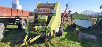 Claas lis