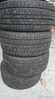 225/45 R17 Zimné