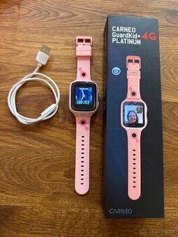 Carneo Guardkit+ 4G
