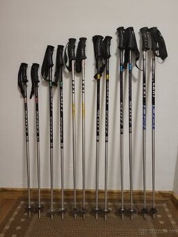 Lyžiarske palice Scott a Leki