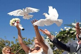 Vypúšťanie svadobných holubov,,
