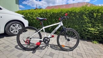 B Twin 24"