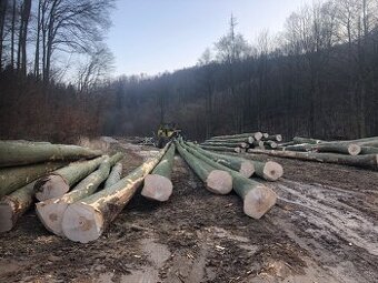 Práca