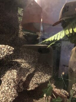 Terarium