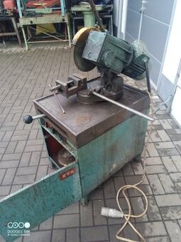Pila kotucova