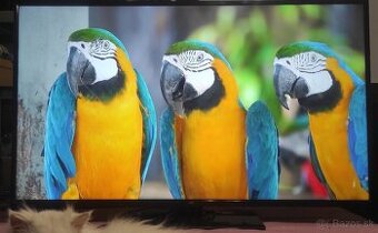 Predám 4KUHD SMART TV JVC LT-55VU63L (140cm)