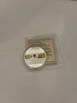 Pamätná medajla vstup s.r. Do eurozóny